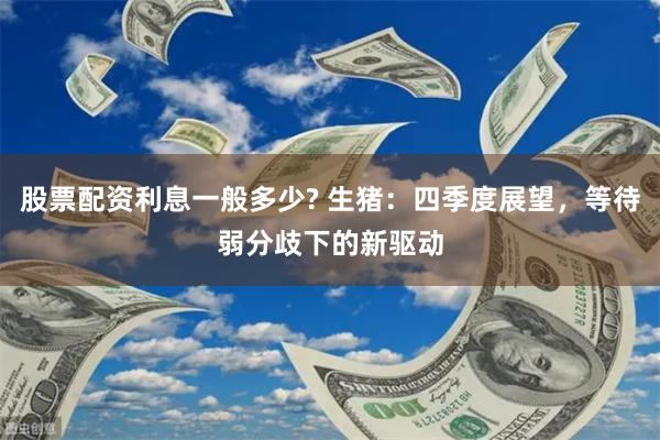 股票配资利息一般多少? 生猪：四季度展望，等待弱分歧下的新驱动