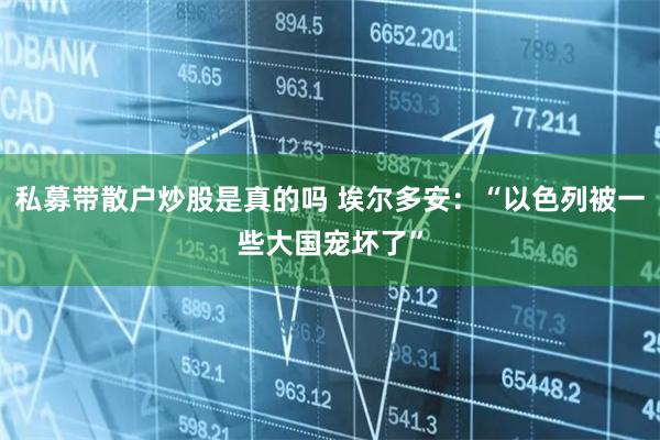 私募带散户炒股是真的吗 埃尔多安：“以色列被一些大国宠坏了”
